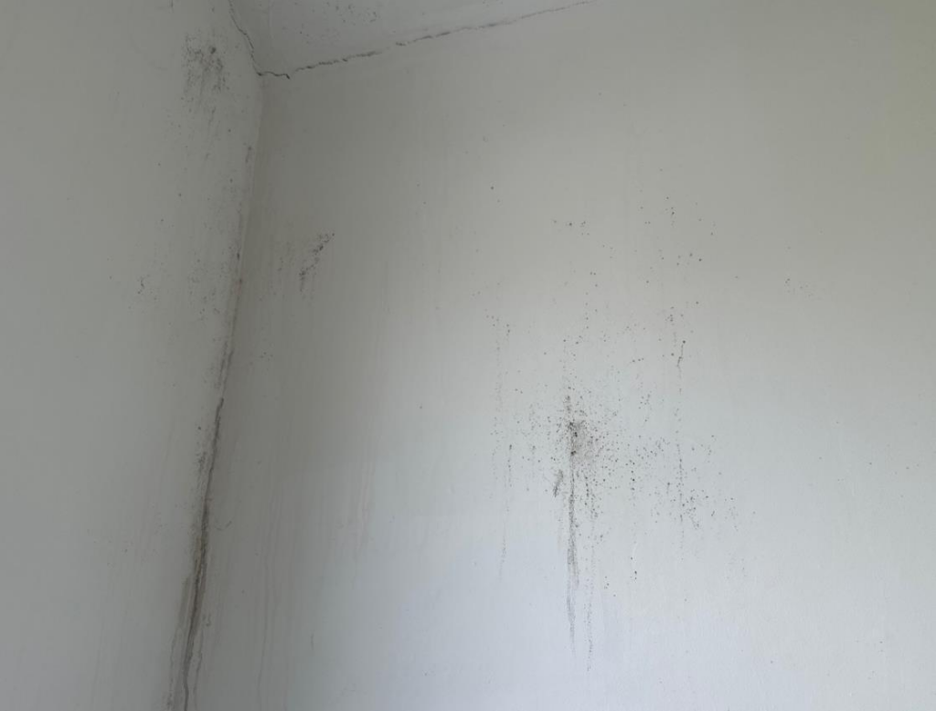 Screenshot 2025-07-07 112355.png