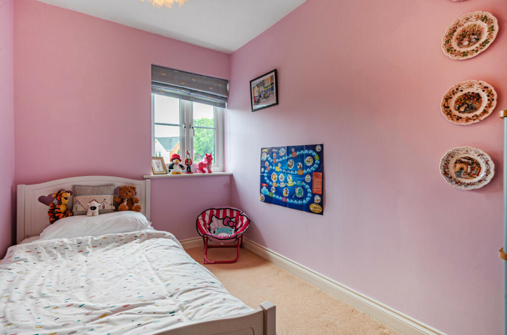 664f51962311b-l-1131551 (7)