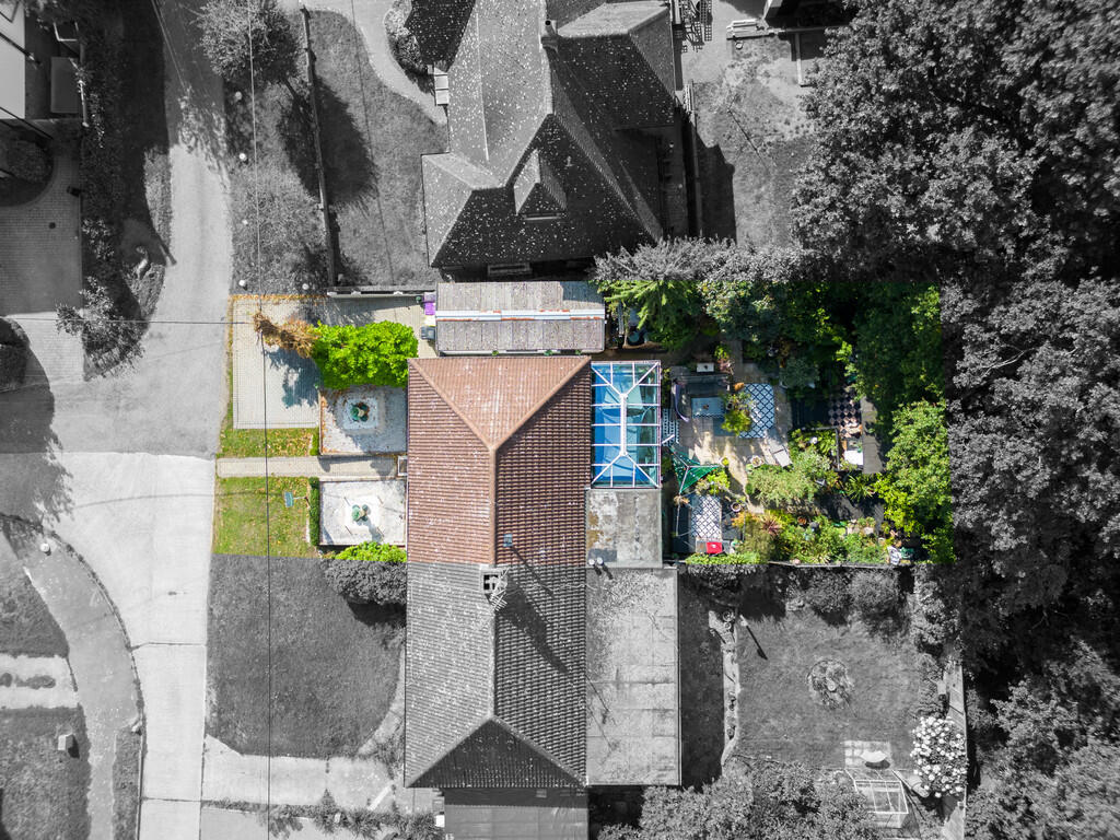 Black and White L...