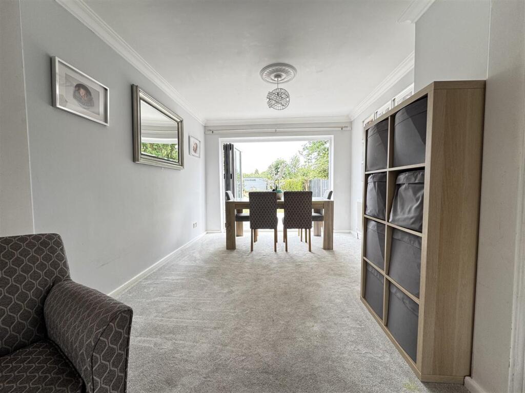 IMG_4962 (Large).JPG