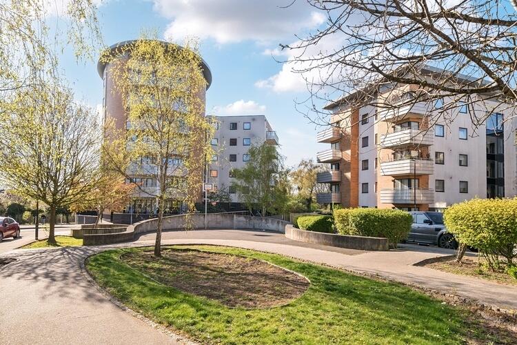 1273506 (10) formphotoeditor.com