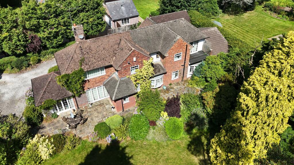 dji_fly_20240811_125320_0621_1723401028963_photo.J