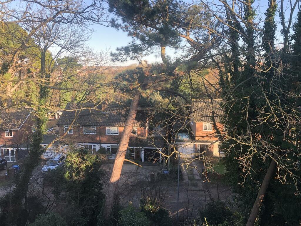 view from kitchen.jpg