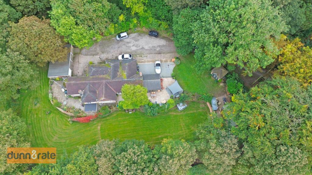 DJI_0408.jpg