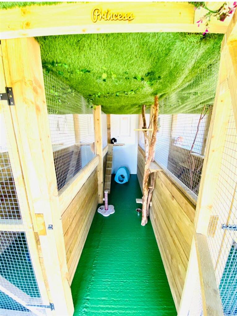 Playarea