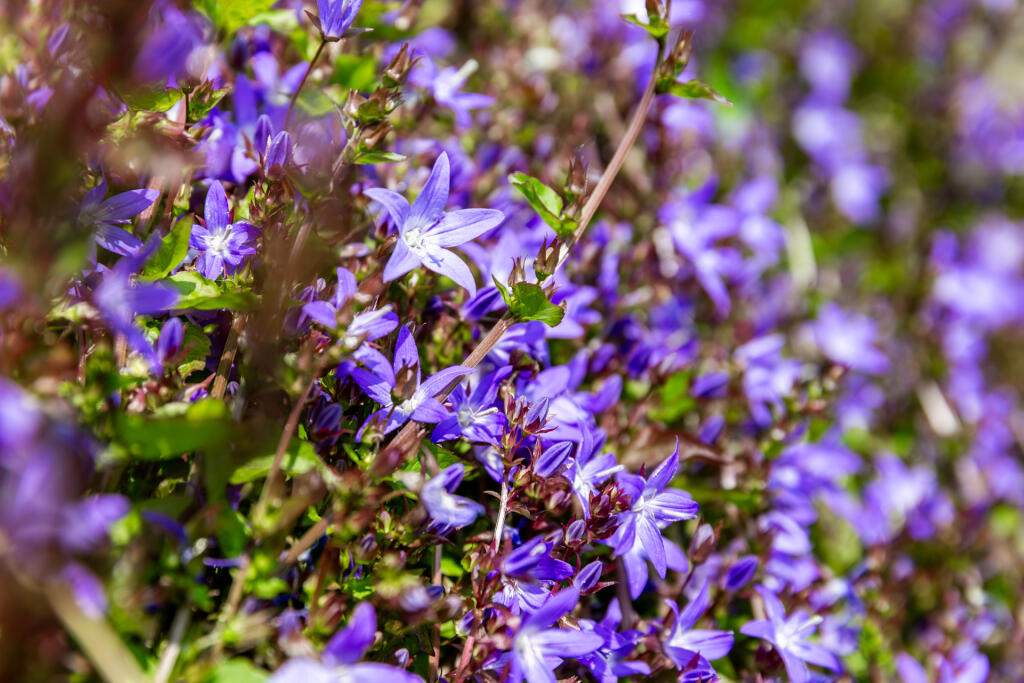 5F8A0962-Enhanced-NR