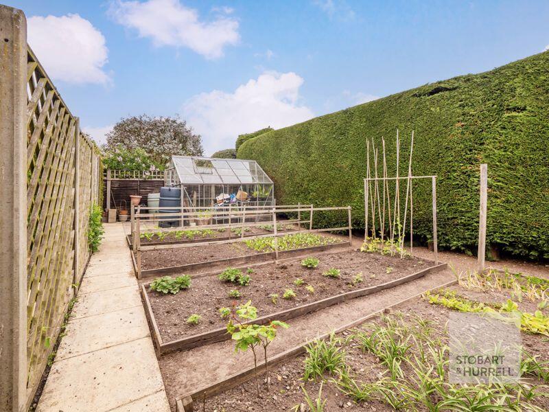 Vegetable Plot