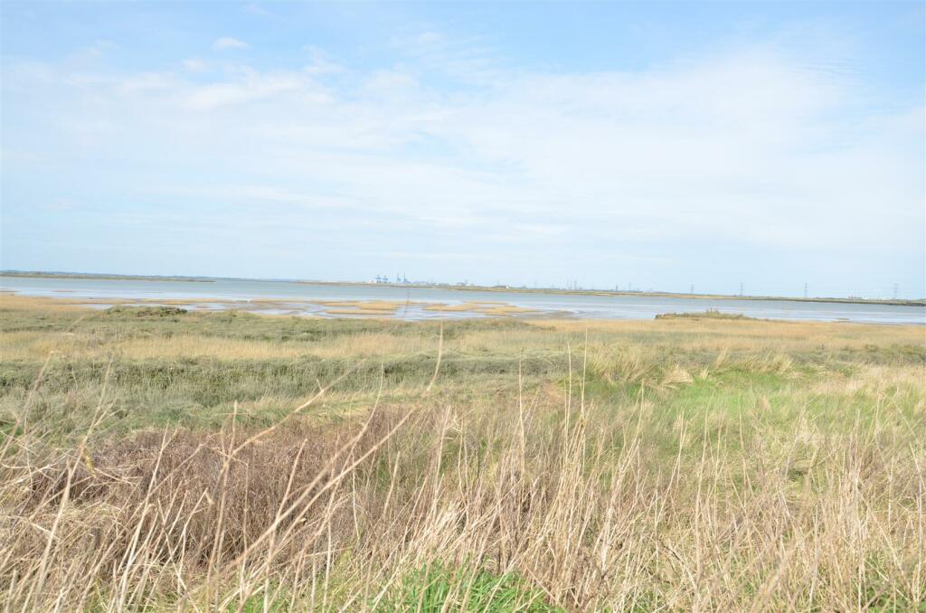 View from lane / drive.JPG