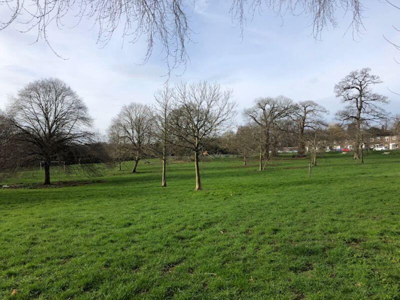 Park