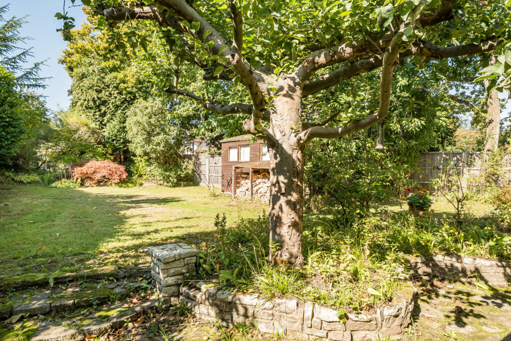 1355656-2-68cd3e0...