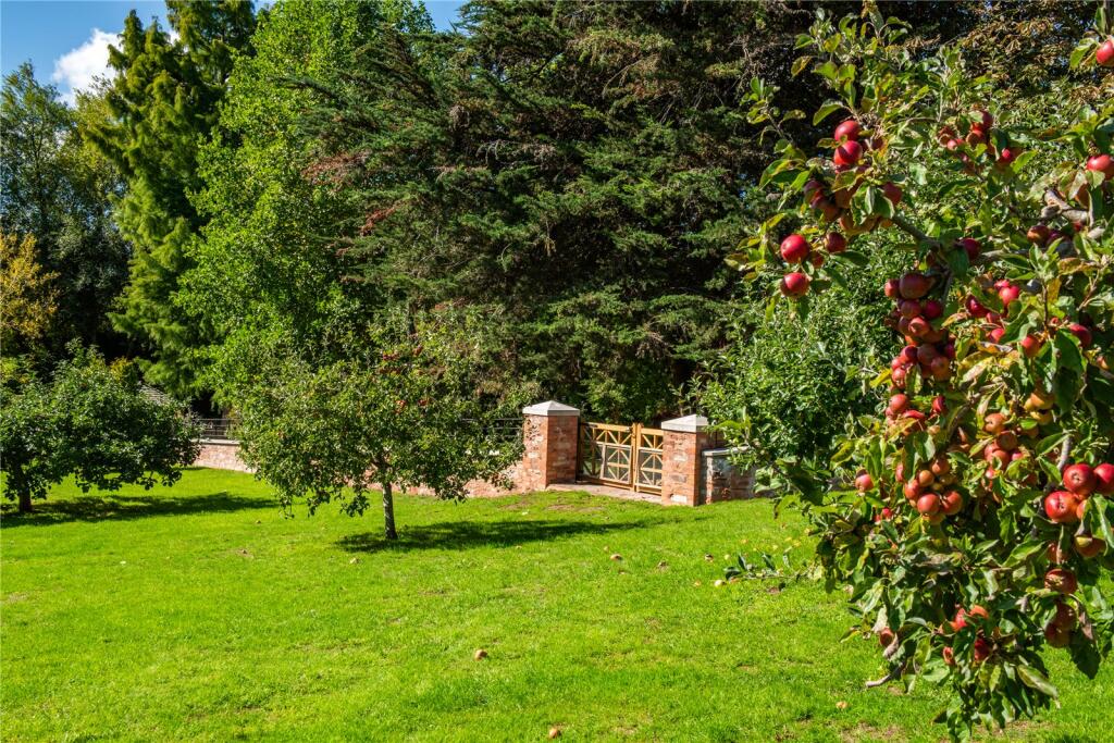 Orchard
