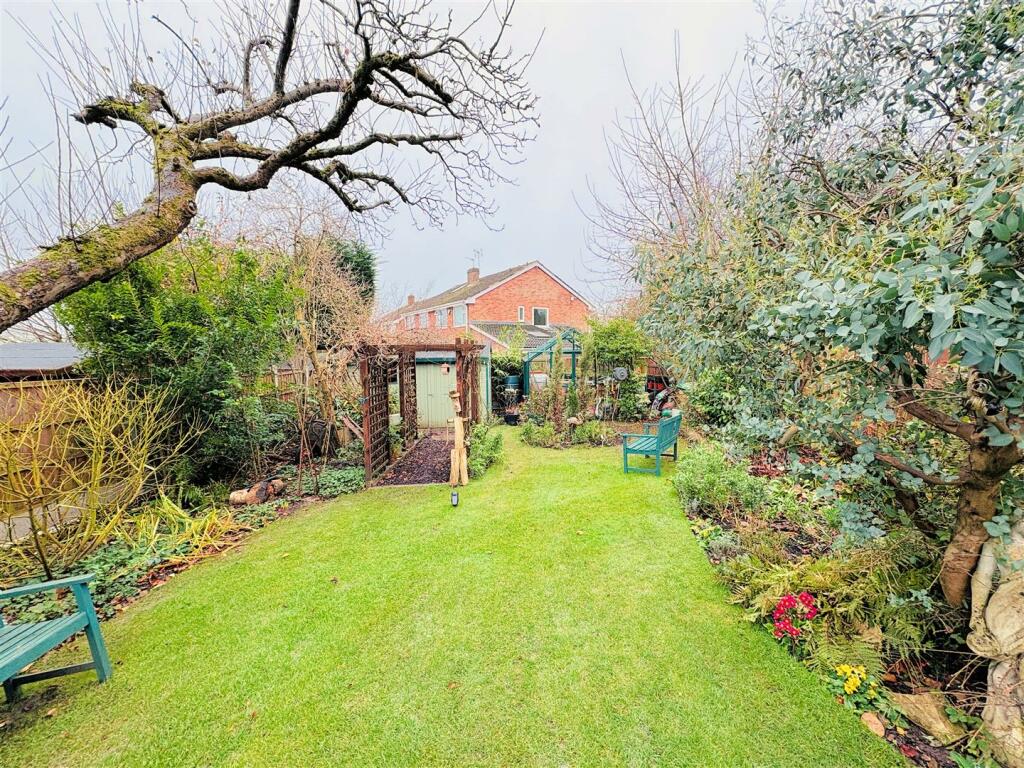 garden (2).jpg