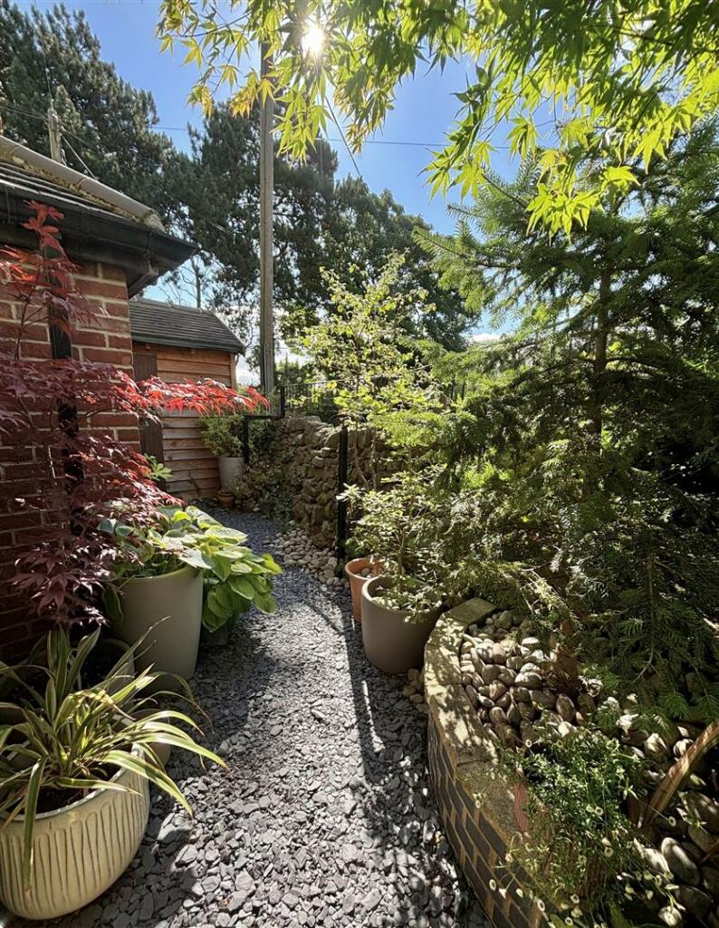 76 The Common Back Garden 3.jpg