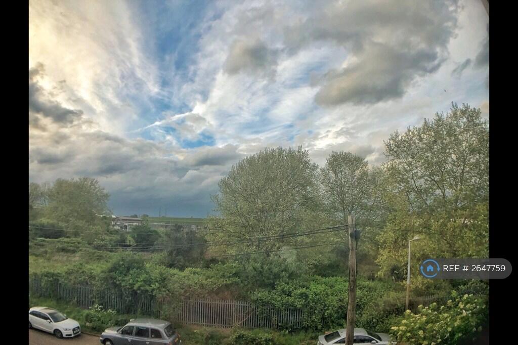 View From The Living Room