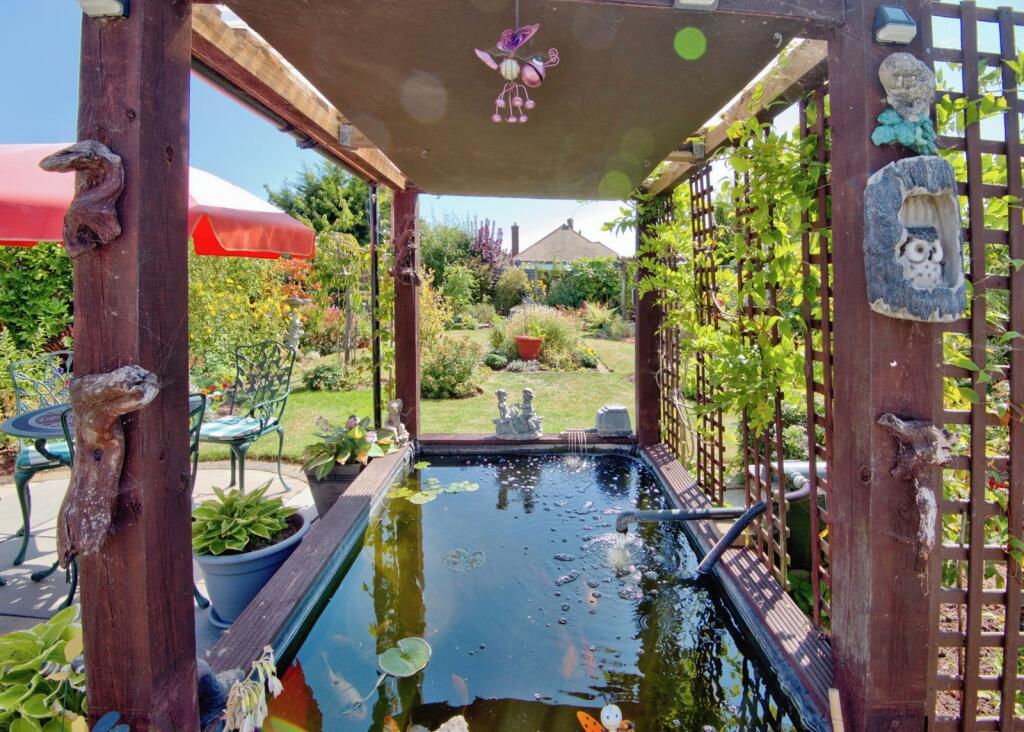 Pond