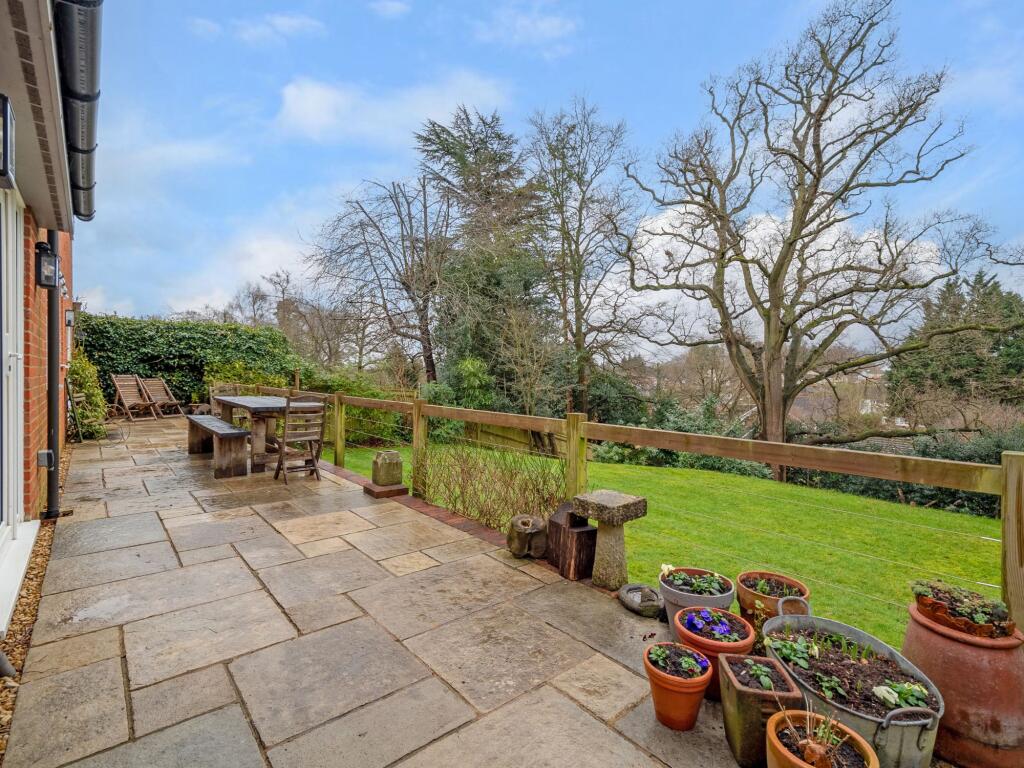 The back garden