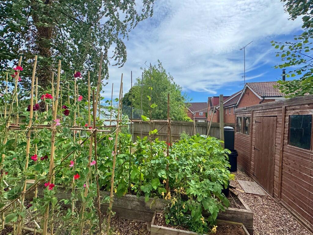 Raised Beds and S...