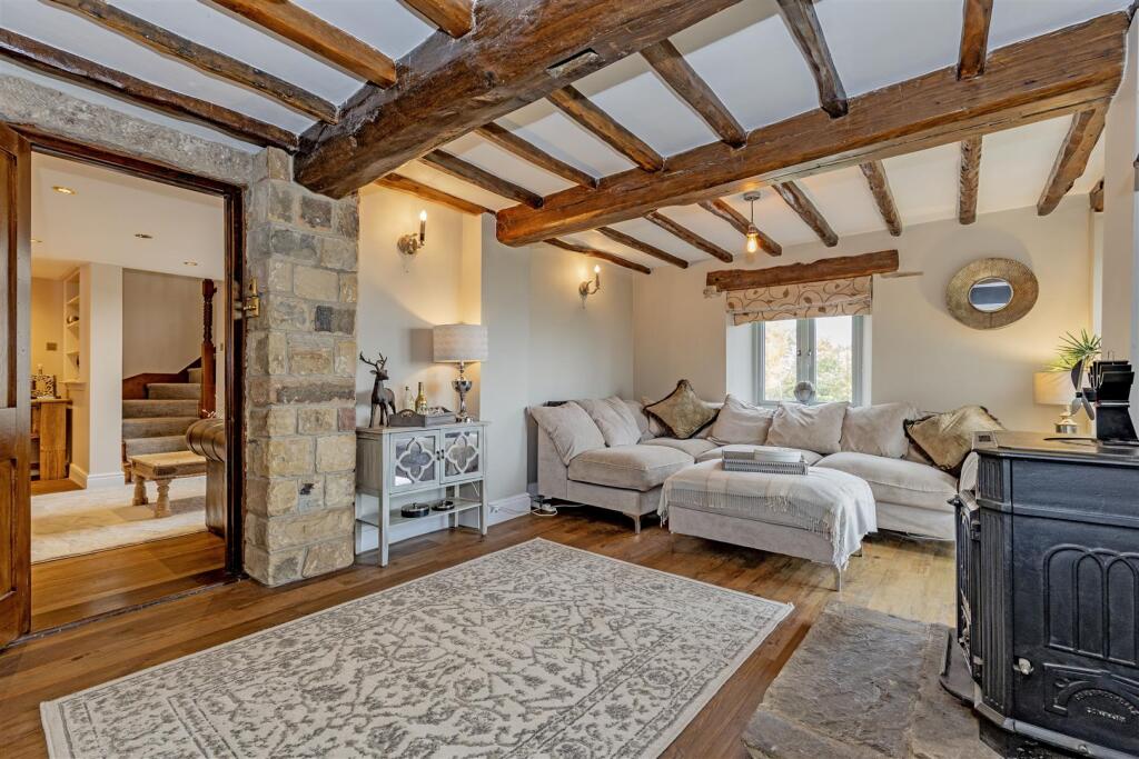 Snug-2.jpg
