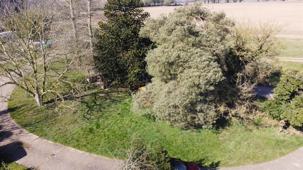 DJI_0834.JPG
