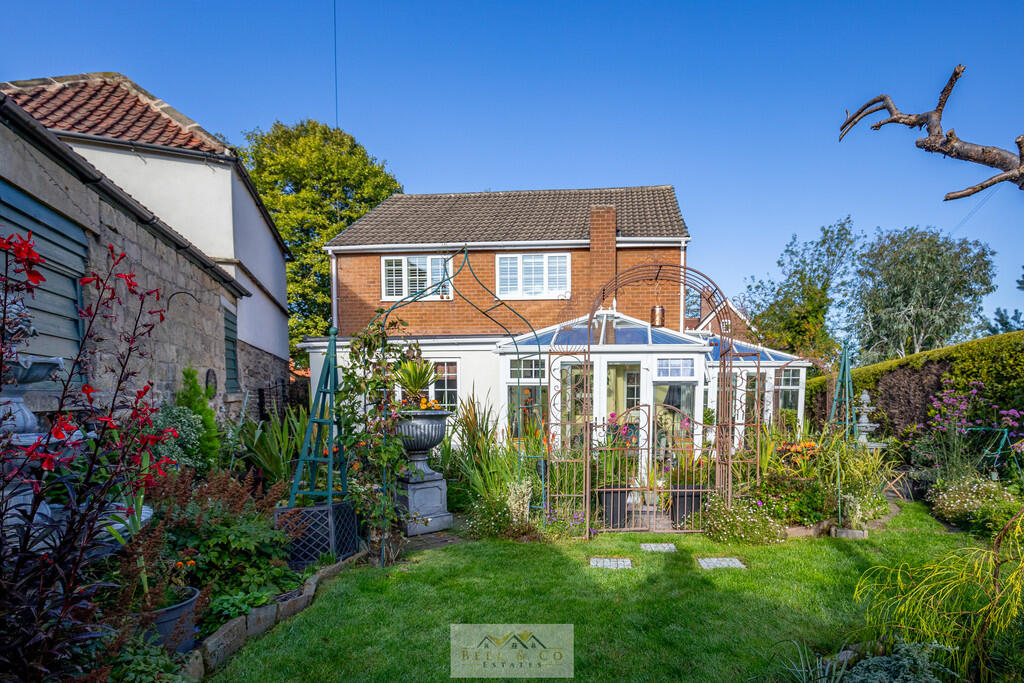 Back garden 1.8