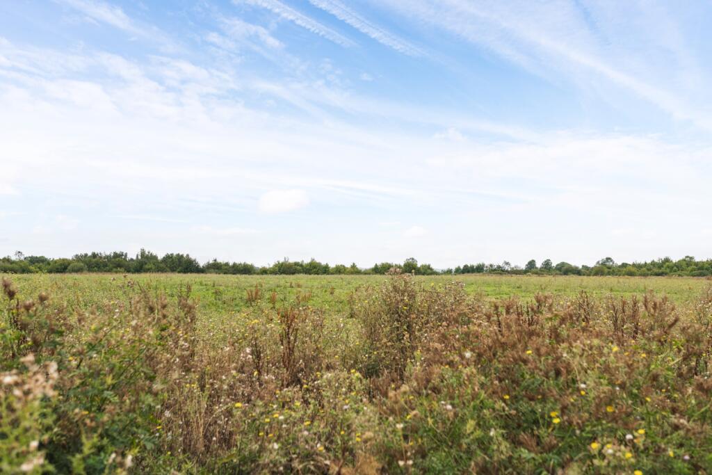 View from front of home