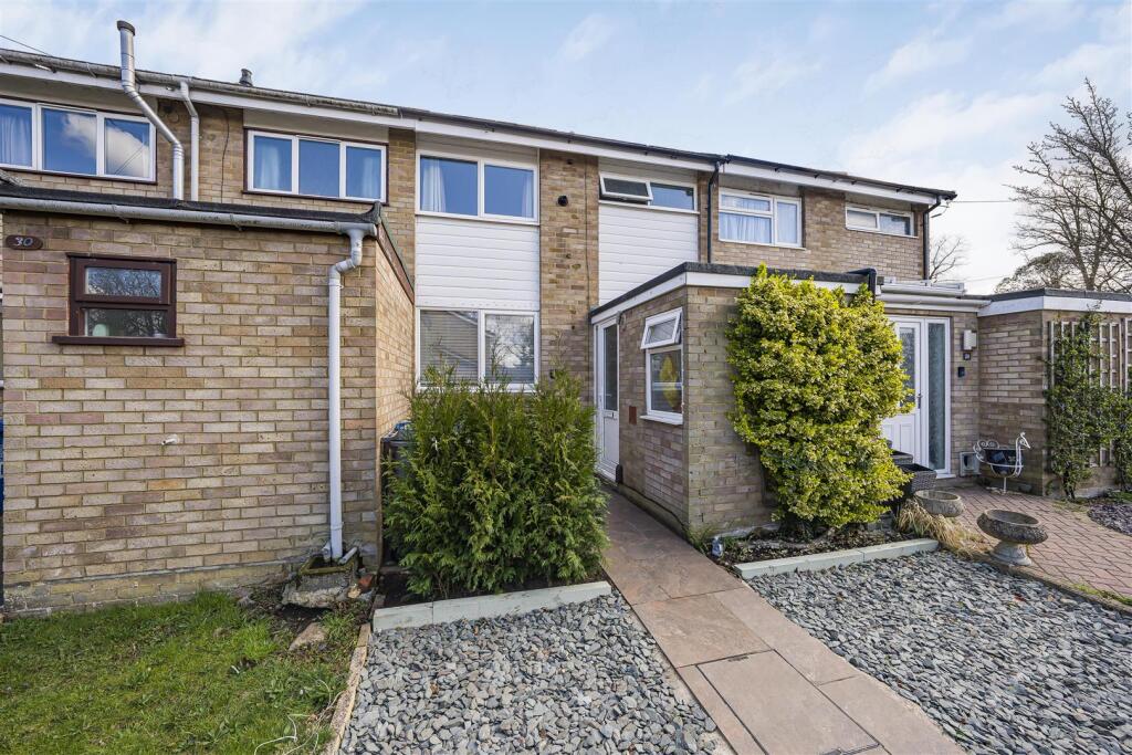 Photo Mar 28 2025, 2 19 01 PM.jpg