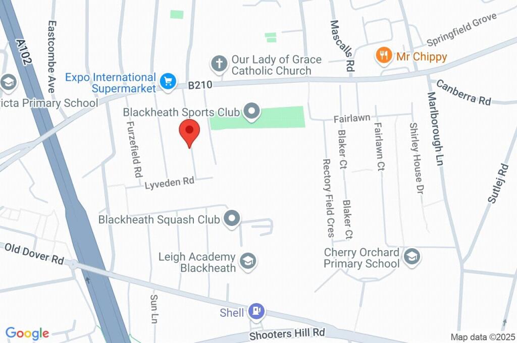 Google Maps Image