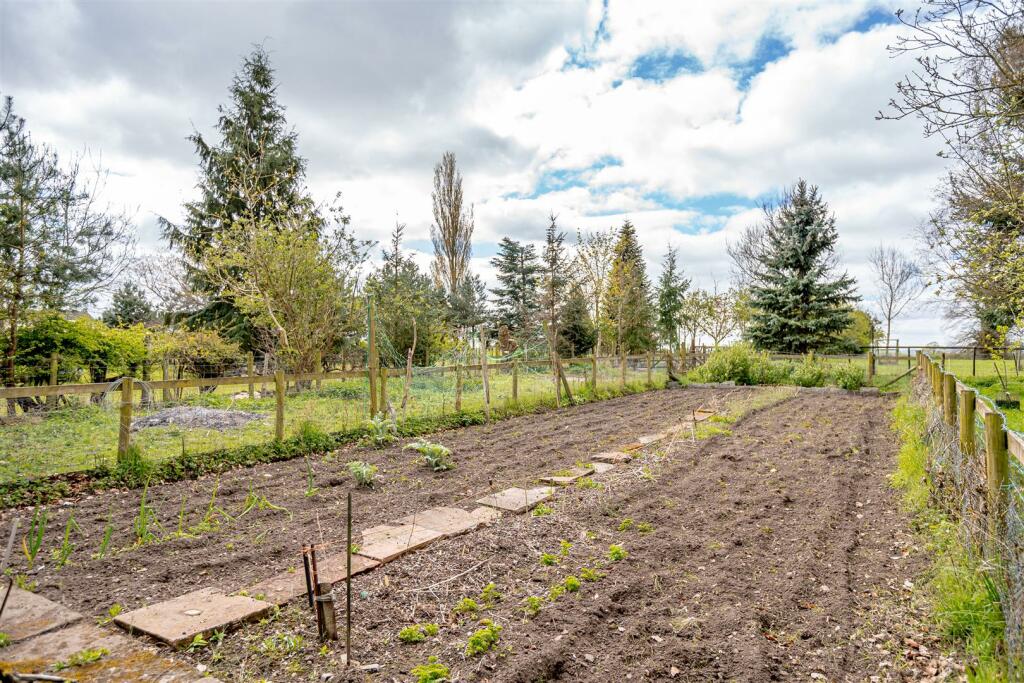 Vegetable Garden