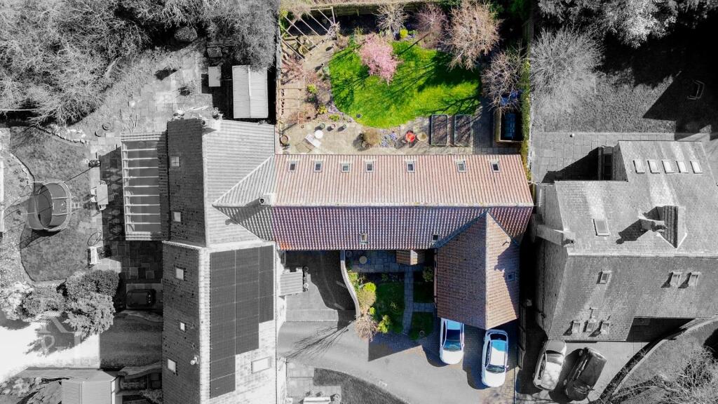DJI_0910.jpg