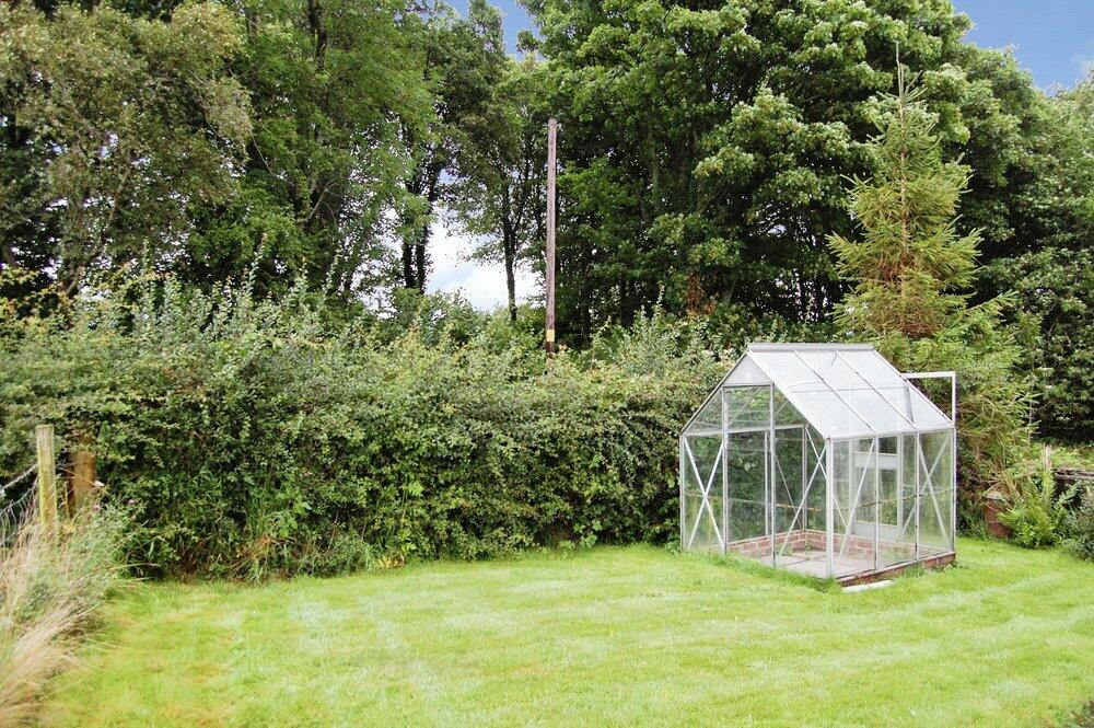Garden 4