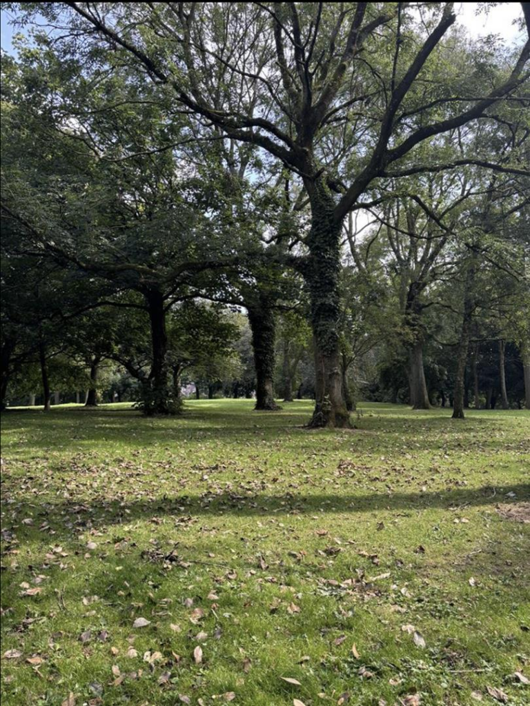 Buille Hill Park