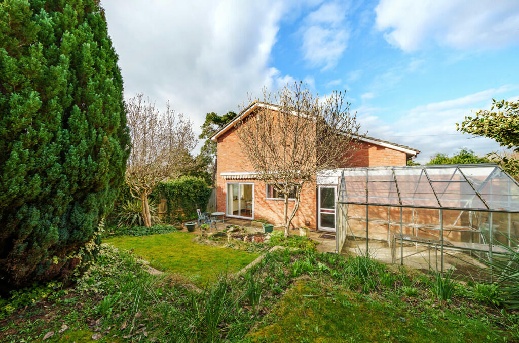 Rear External
