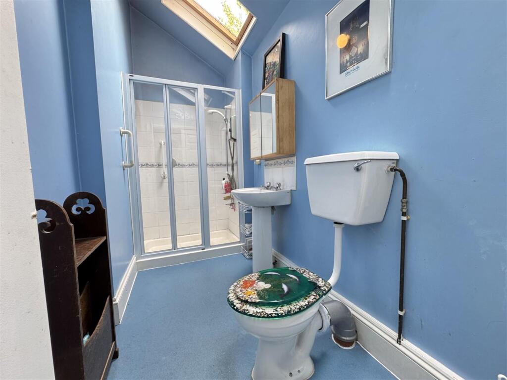 IMG_0908 (Large).JPG