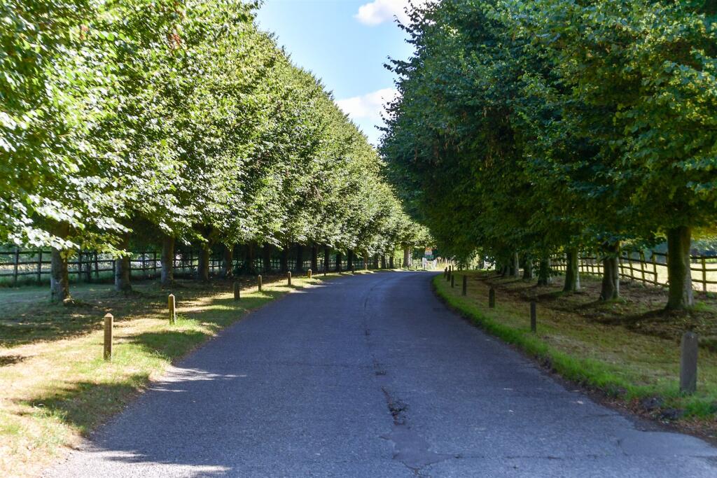 Surrounding Area