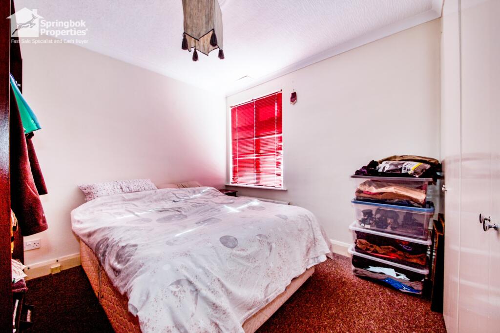 IMAGE 7