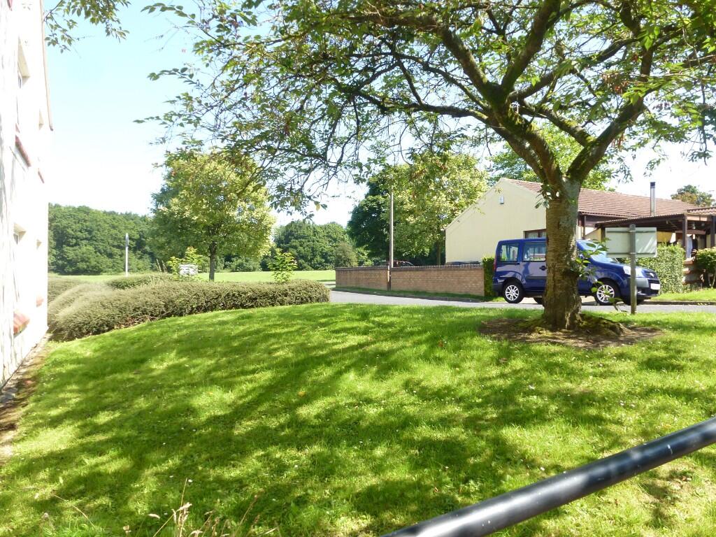 Communal Gardens