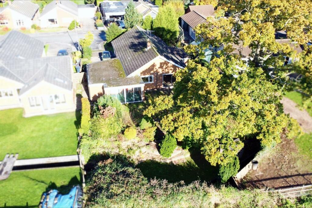 processed-7B77CC2F-06CF-442B-BBC4-9556C2CCBEA0-99F