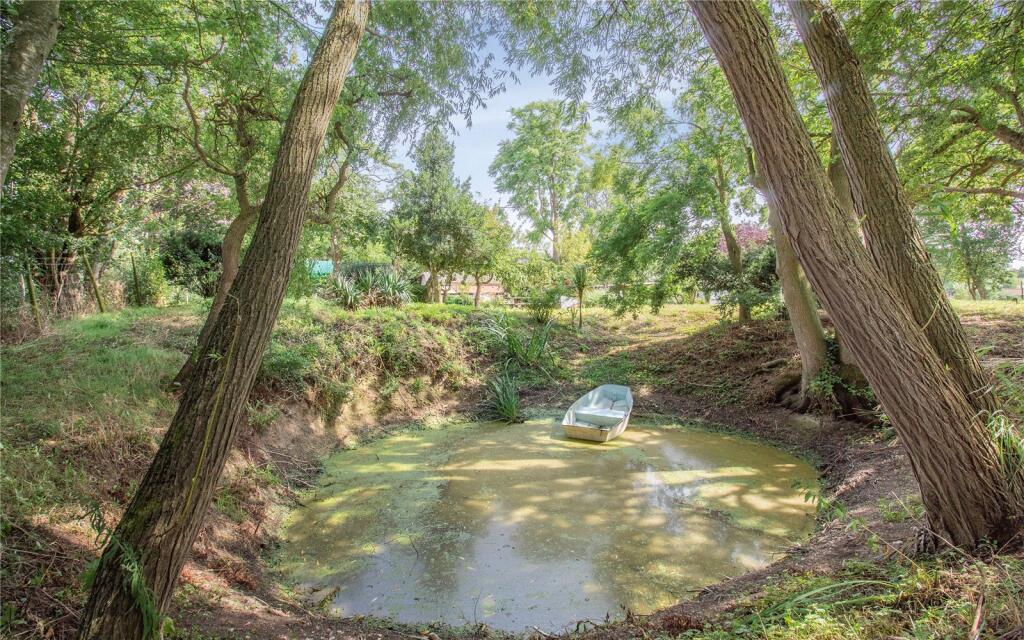 Pond