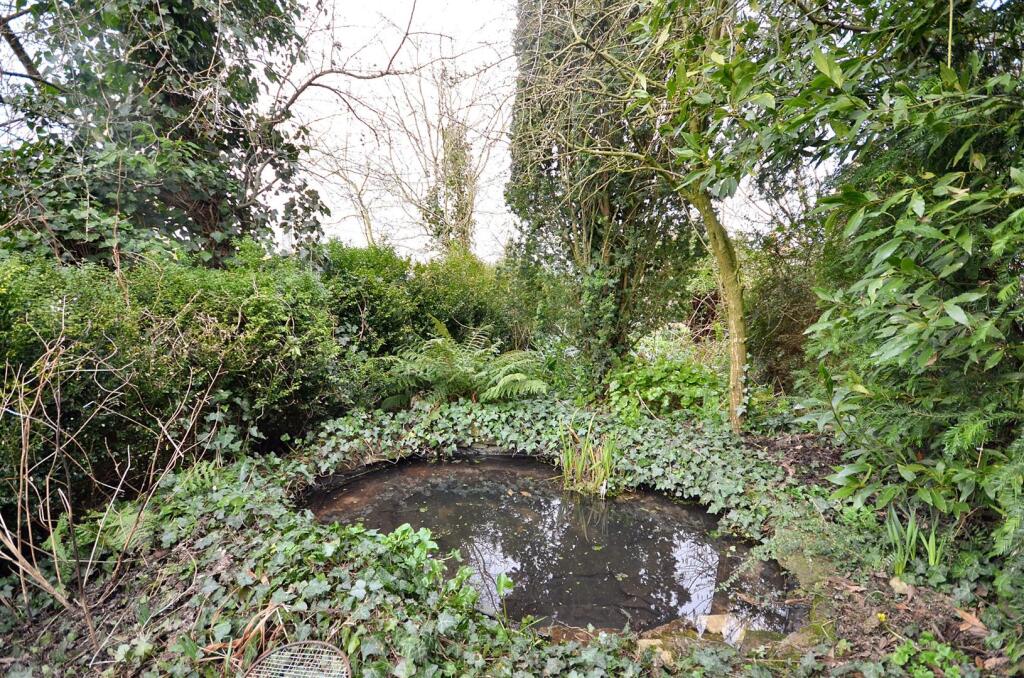 Wildlife Pond