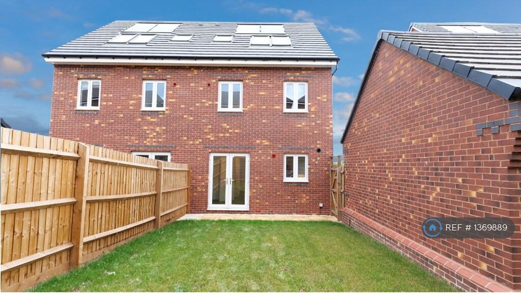 Back Garden