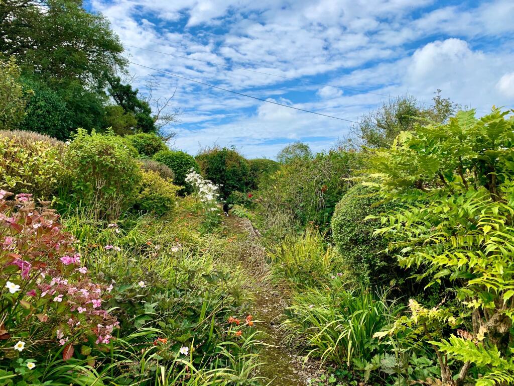 Rowan Cottage_Garden