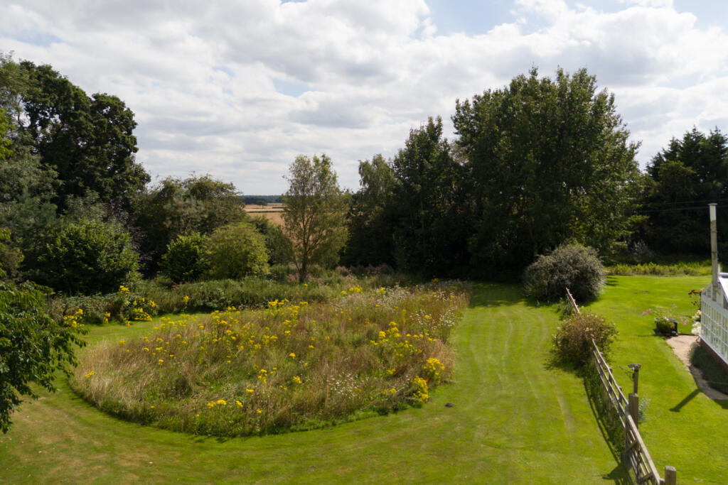 Meadow Area