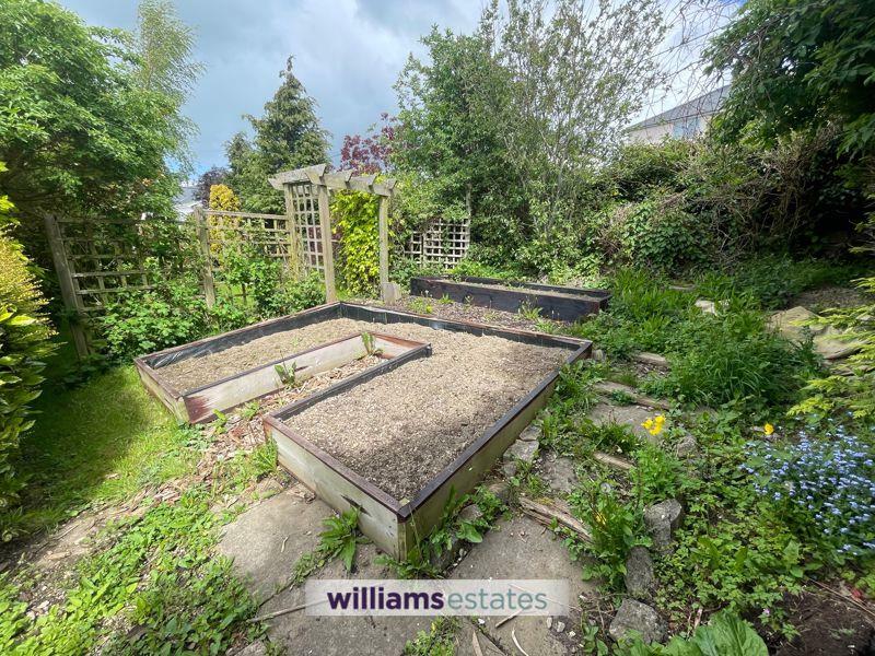 Vegetable Patch