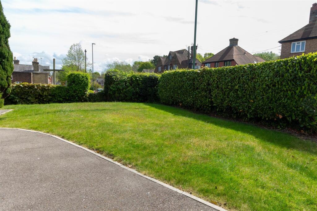 Lawn.jpg
