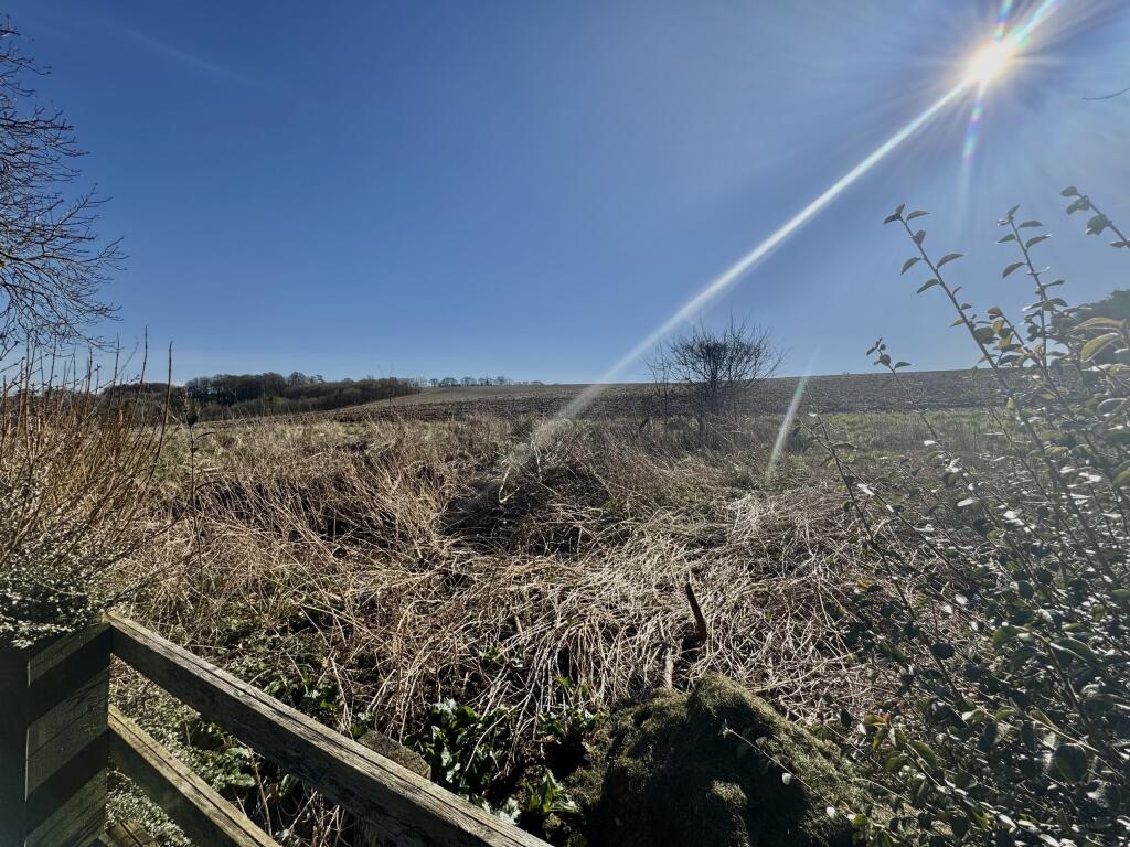 Fields Behind