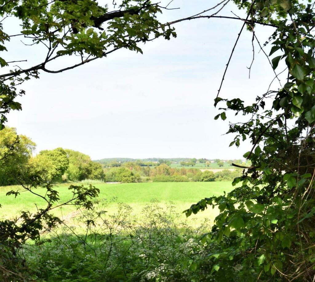 DSC_1401.jpg