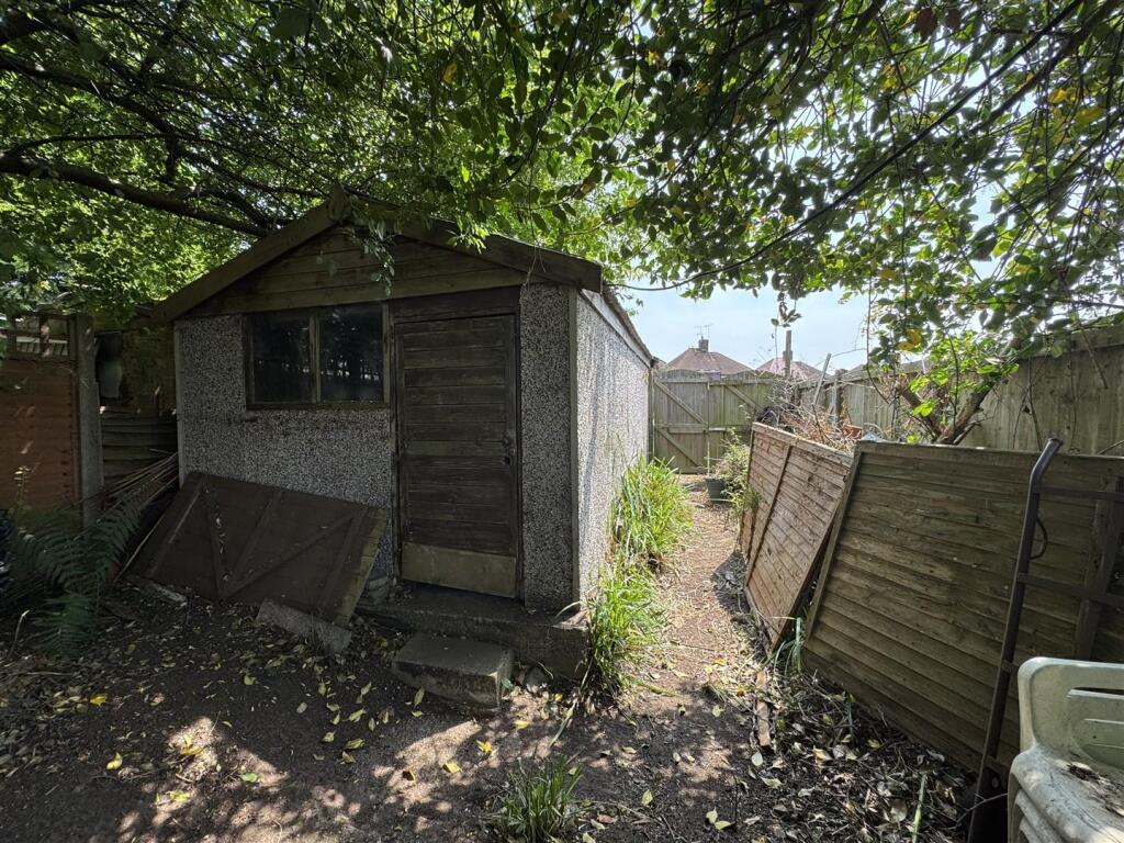 IMG_4424 (Large).JPG