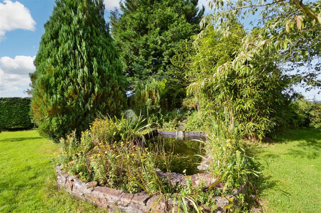 Pond