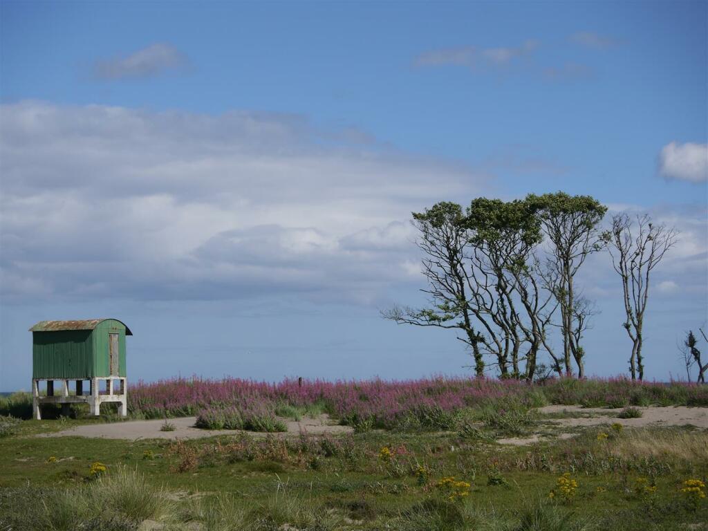 13 Isla Place New + Tentsmuir-2.jpg