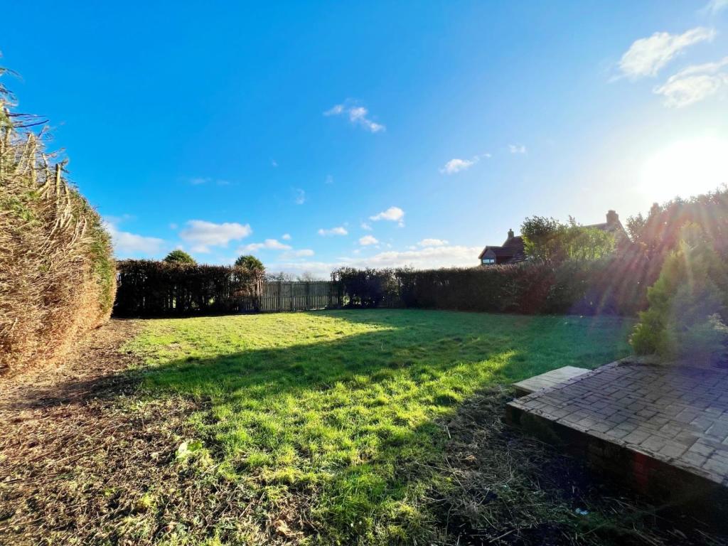 Garden pic 2.jpg